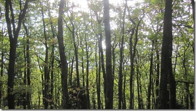 IMG_3164