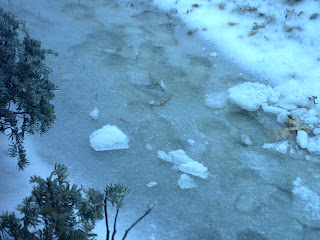 Water on the snow