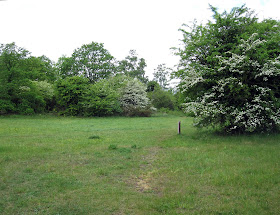 Open grassland in the southern section of Hayes Common.  Orchids grow here. 8 May 2011.