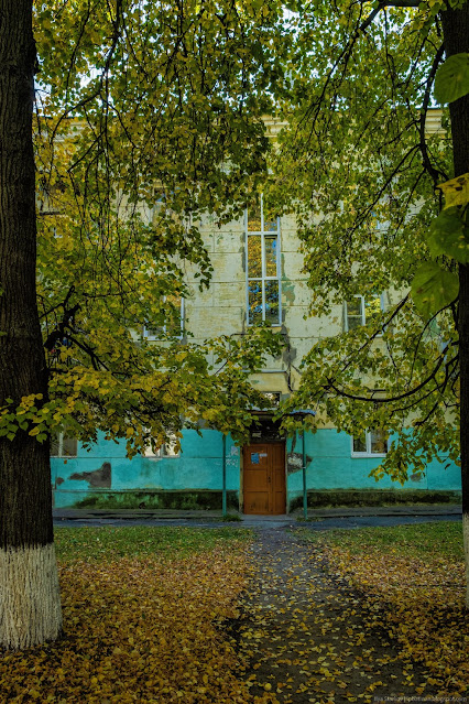 Тропинка к подъезду дом покрыта листвой