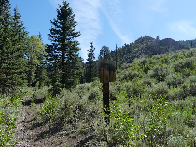 002: wilderness sign