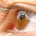 Top 5 Foods for Healthy Eyes