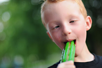 minneapolis childrens photographer