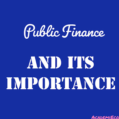 Public finance and it's importance