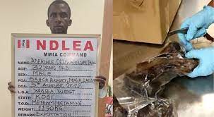 NDLEA Discovered 442 Parcels Of Crystal Meth