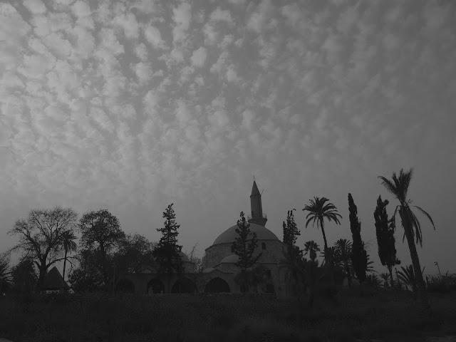 Hala Sultan Tekke salt lake Larnaca