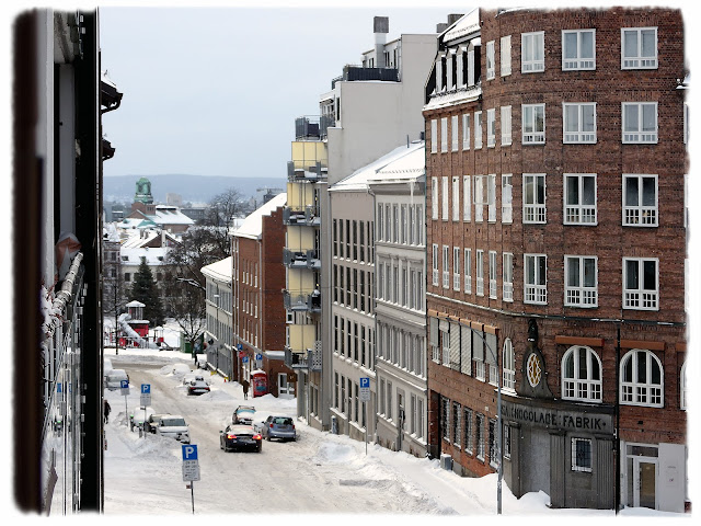 Utsikt fra Fjellgata 2D nedover Gøteborggata på Rodeløkka i Oslo.