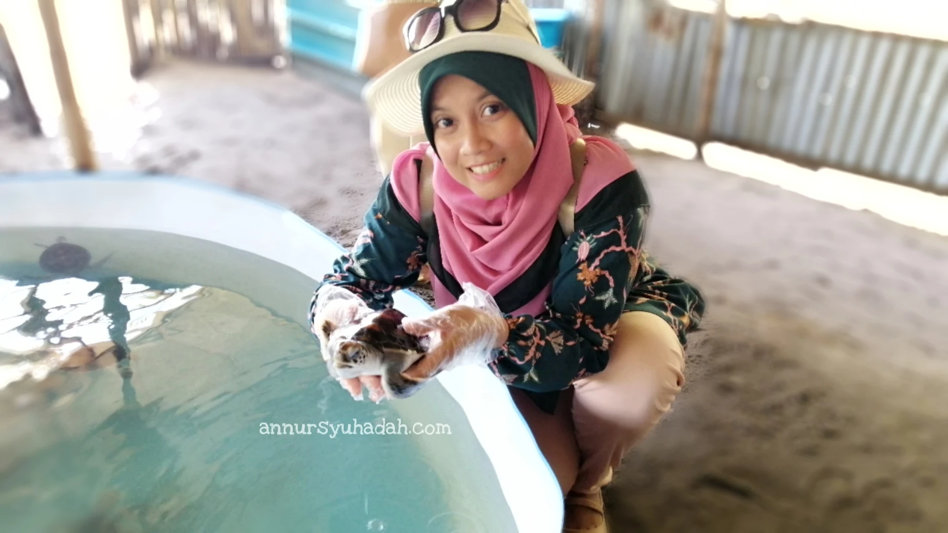 segari turtle sanctuary pasir panjang lumut