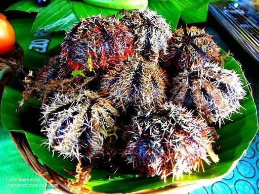 Sea urchin sold at baywalk in Puerto Princesa City