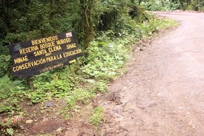  Bosque Nuboso de Santa Elena en Monteverde