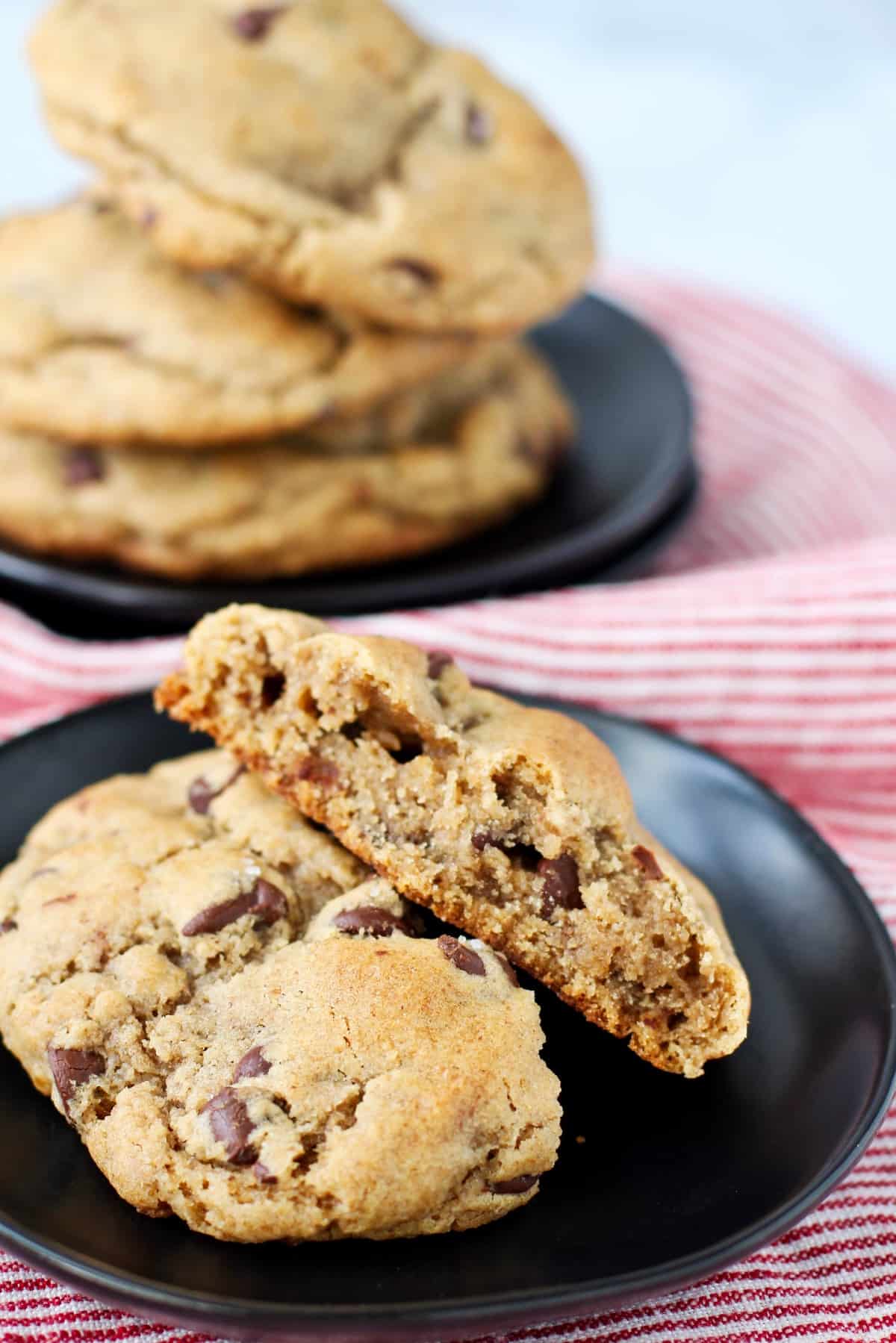 Sourdough Whole Wheat Chocolate Chip Cookie crumb