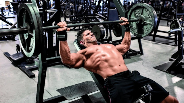 Bench Press Exercise FITPASS