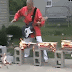 gif de rock kung-fu