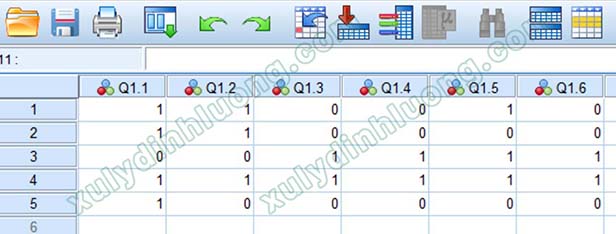 Mã hóa câu hỏi nhiều lựa chọn trong SPSS