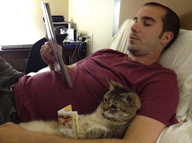funny animals of the week, a man and a cat read books