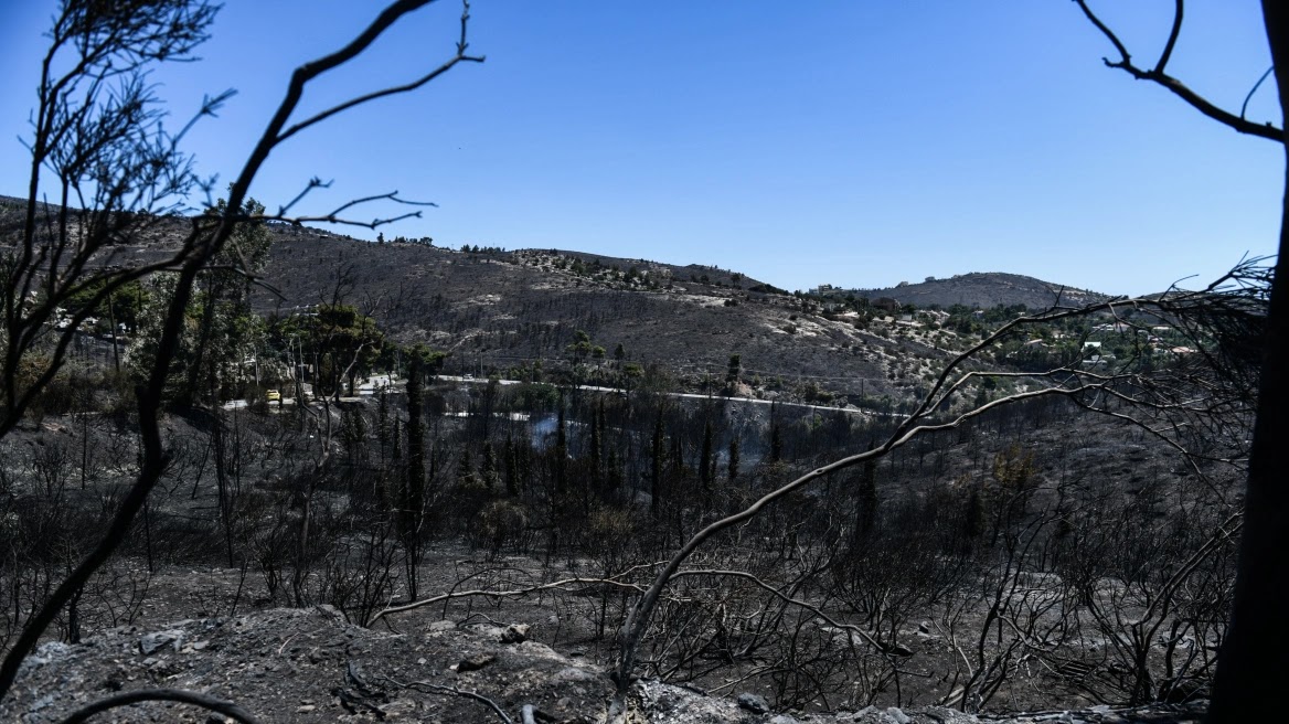 Πάνω από 130.000 στρέμματα κάηκαν στην Ελλάδα τον Ιούλιο