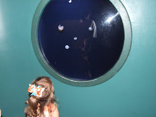 jellyfish