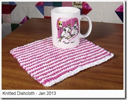Dishcloth-Jan2013