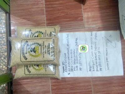 Benih padi yang dibeli   ADING SUTISNA Karawang, Jabar. (Sebelum packing karung ).