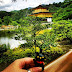 Il Padiglione d'Oro di Kyoto - bellezza e mistero