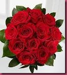 rose2