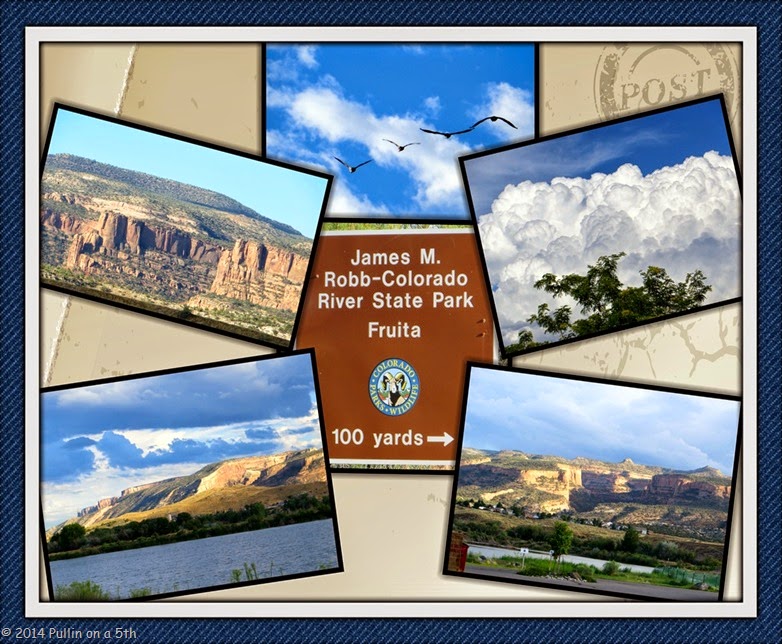 IMG_2226_Fotor_Collage_Fotor