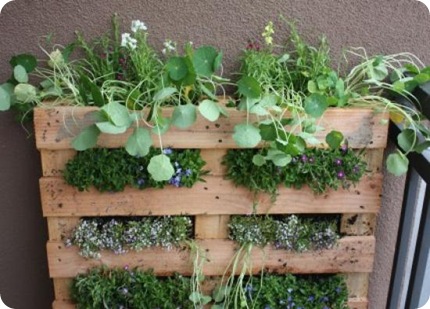 jardin-vertical-palet