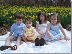 Daffodil_0020