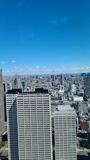 rooftop shot of tokyo