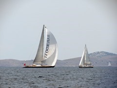 IMG_9642