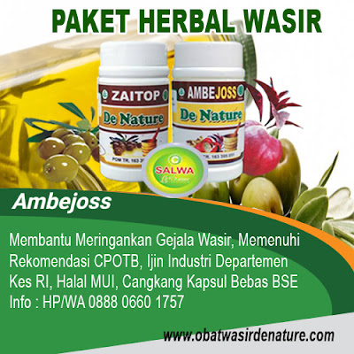 Cara Menyembuhkan Ambeien Dengan Obat Tradisional