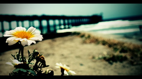 Thatsthelife_KimberlyTurley