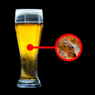 시원한 맥주 한 잔과 탈모에 효능이 있는 맥주 효모
