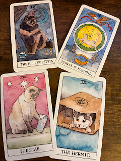 Tarot cards from the Cat Tarot
