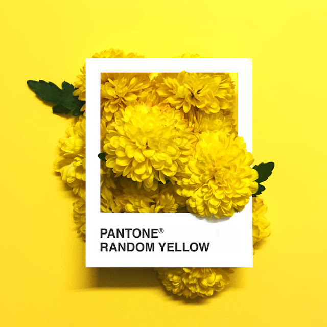 Pantone Flowers, un colorido proyecto realizado con hermosas flores