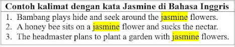 17 Contoh Kalimat Jasmine di Bahasa Inggris dan Pengertiannya