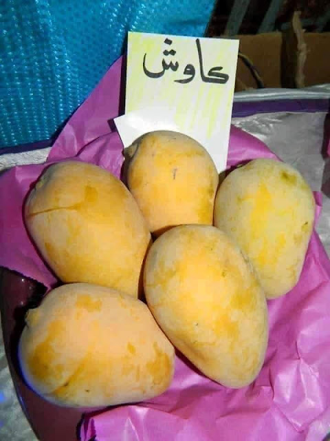 How many types of mangoes in Pakistan