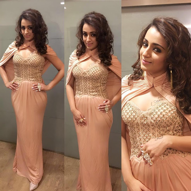 Trisha Channelising in Blush Color Gown by Shantanu & Nikhil