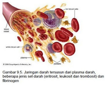 komponen penyusun darah