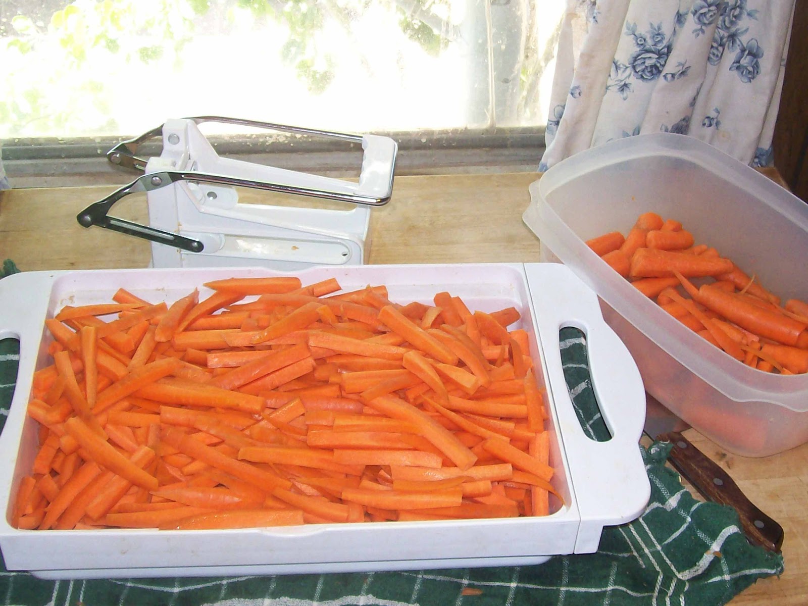 Dehydrating Way Beyond Jerky: Quest for Carrots A Great Bargain! Day 2 - Julienne