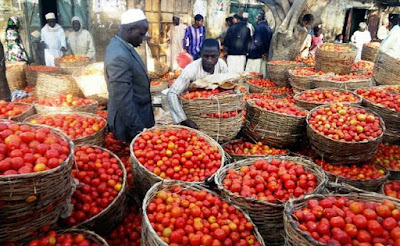 Image result for tomato market jos