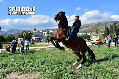 "17η Ιππική Συνάντηση Διομήδεια" στο Άργος 2 και 3 Νοεμβρίου