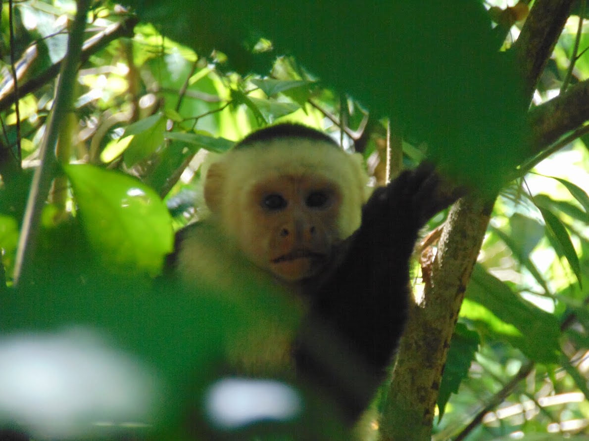 Costa Rica 2018