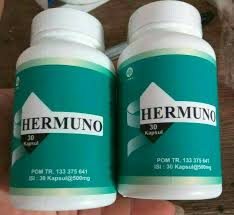 Grosir Hermuno Original murah