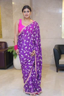 Actress Hebah Patel Saree Stills at Ala Ninnu Cheri pre release
