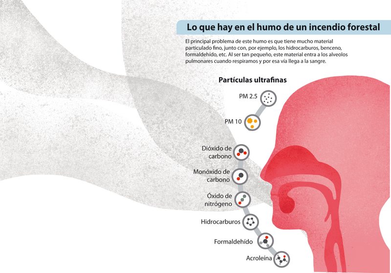 Qué le pasa al cuerpo con el humo de los incendios forestales