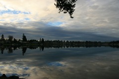 IMG_6331