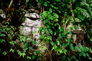 Ancient Megaliths at Rio Viejo