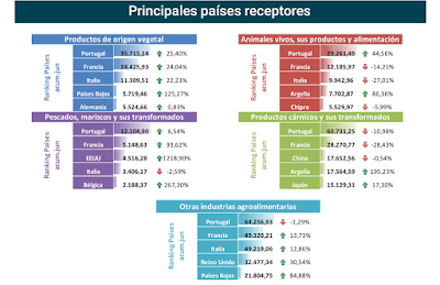 asesores económicos independientes 111-10 Javier Méndez Lirón