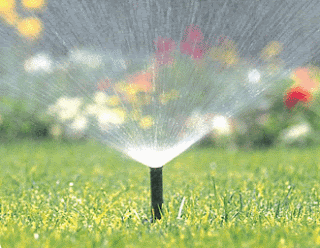 To save on your water use, adjust your water sprinkler system so that water is reaching only your lawn.
